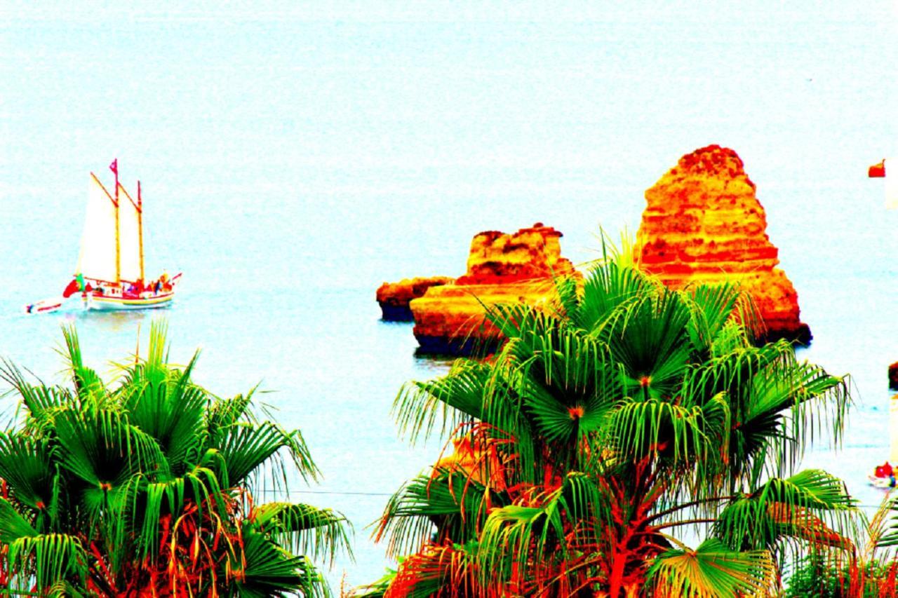 Amazing Sea View W/ 2 Bdr Ideal 4 Families W/ Wifi