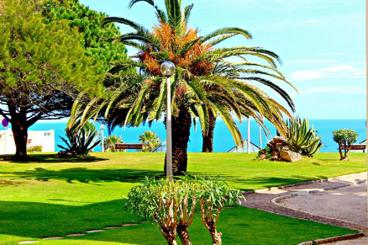Amazing Sea View W/ 2 Bdr Ideal 4 Families W/ Wifi *